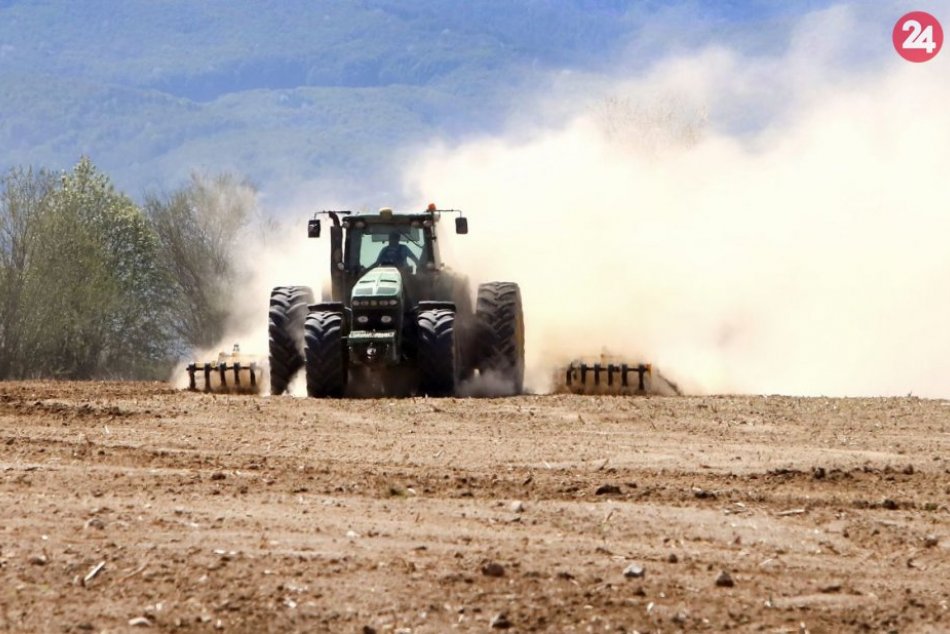 Ilustračný obrázok k článku Banskobystrický kraj podporí regionálnych farmárov: Kupovať chce čerstvé a lokálne potraviny