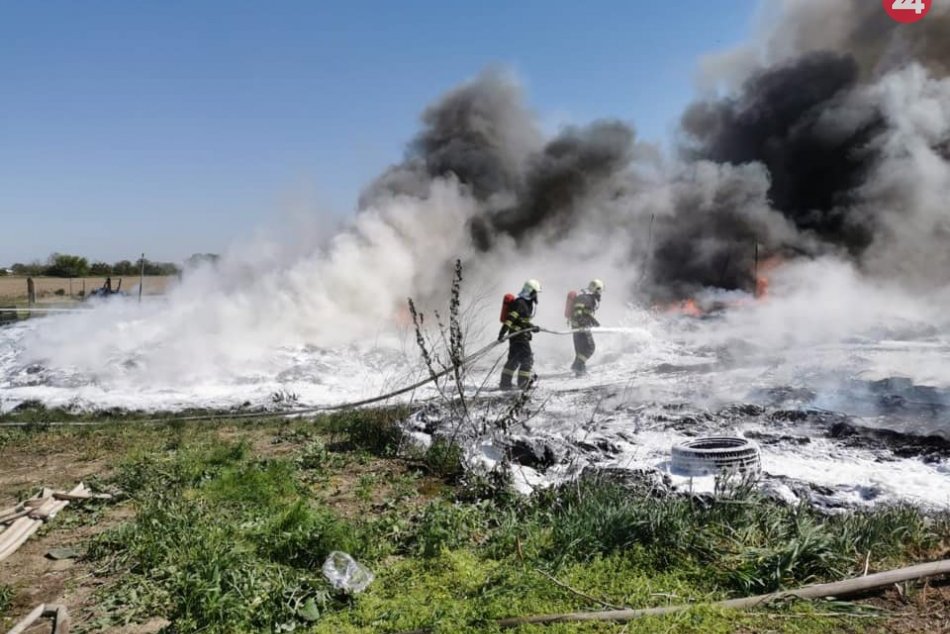 Ilustračný obrázok k článku Kone sa po veľkom požiari vrátili do spustošeného areálu + FOTO