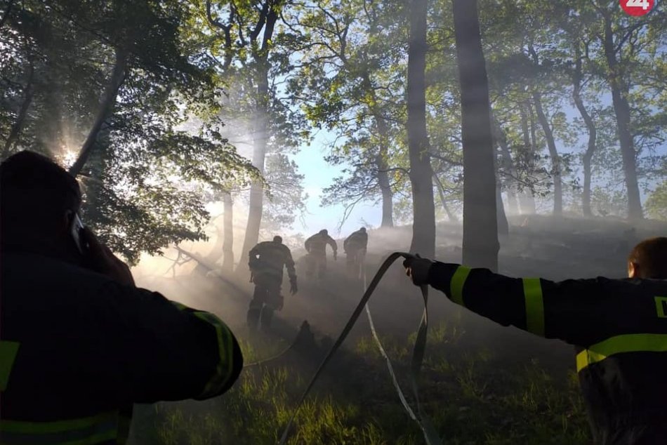 Ilustračný obrázok k článku Horúci apríl: Hasiči v Trenčianskom kraji zachránili majetok za vyše milión eur!