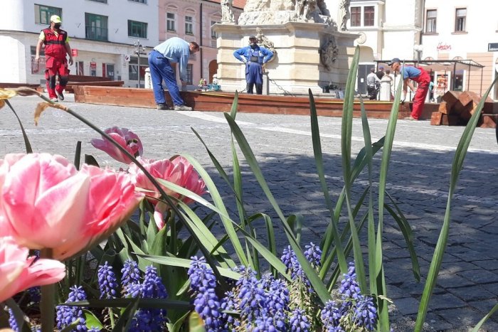 Ilustračný obrázok k článku Na Trojičnom námestí začali budovať kvetinový záhon, GALÉRIA