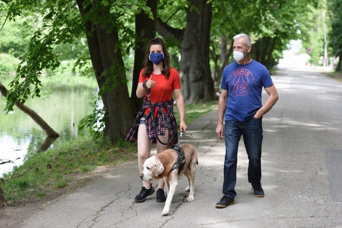 Ilustračný obrázok k článku Bratislavské psy majú svoje pravidlá. Pre majiteľov chlpáčov ich spísalo mesto