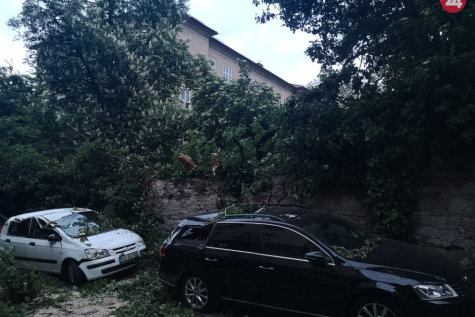 Ilustračný obrázok k článku Vyčíňanie vetra v Bratislave: Priamo v centre mesta sa na autá zrútil mohutný strom
