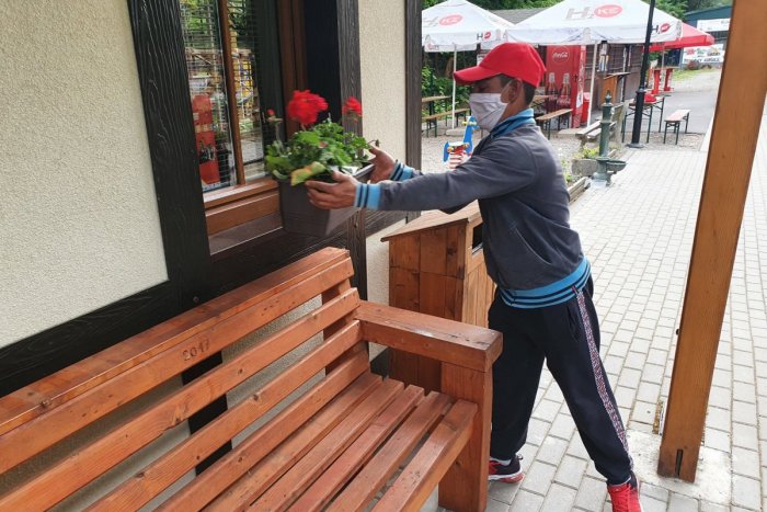 Ilustračný obrázok k článku Ukradol kvetináč zo stanice Detskej železnice a nakoniec ho vrátil