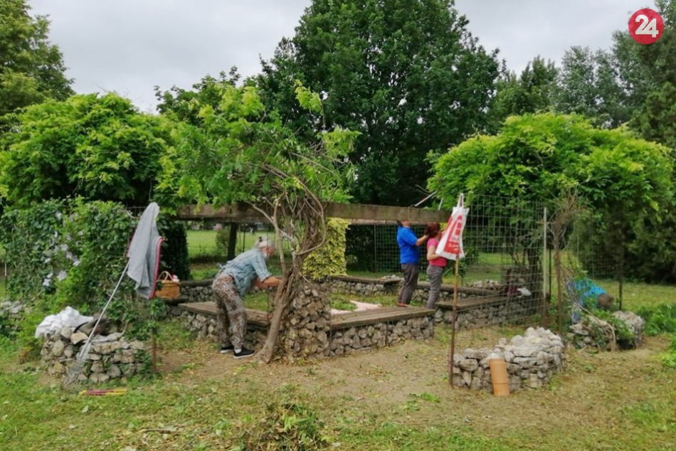 Ilustračný obrázok k článku Dobrovoľníci nelenili: Obnovili prírodnú záhradu v priestoroch základnej školy, FOTO