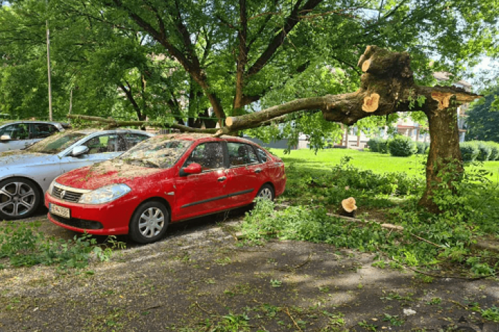 Ilustračný obrázok k článku Spúšť v Humennom: Vyvrátené stromy, zničené autá aj strhnuté strechy