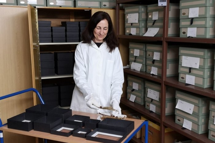 Ilustračný obrázok k článku Múzeum v Prievidzi s novinkou: Unikáty celosvetového významu s lepšou ochranou