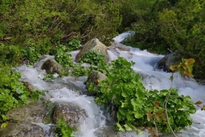 Ilustračný obrázok k článku Vysoké Tatry: Cez tieto turistické chodníky neprejdete, zaliala ich voda