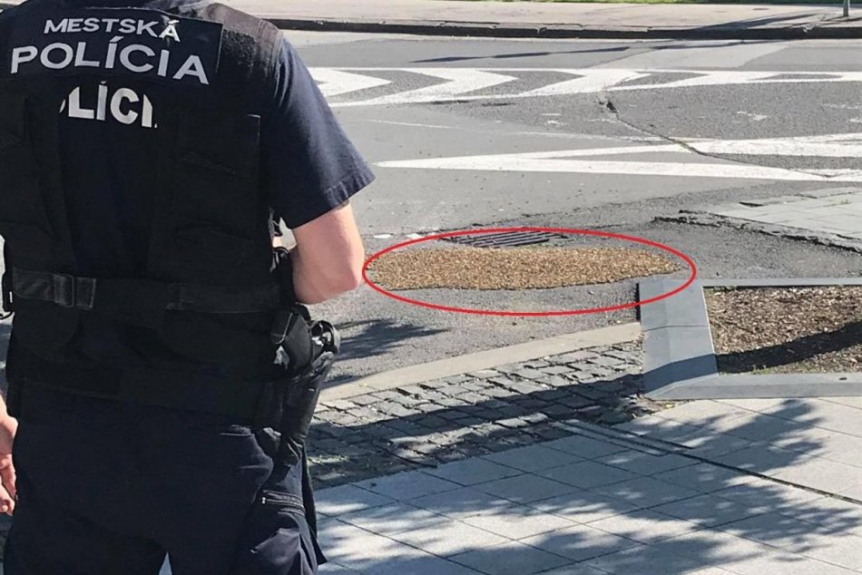 Ilustračný obrázok k článku Zvolenskí mestskáči zažili nevšednú akciu: Na námestí sa usídlil roj včiel, FOTO