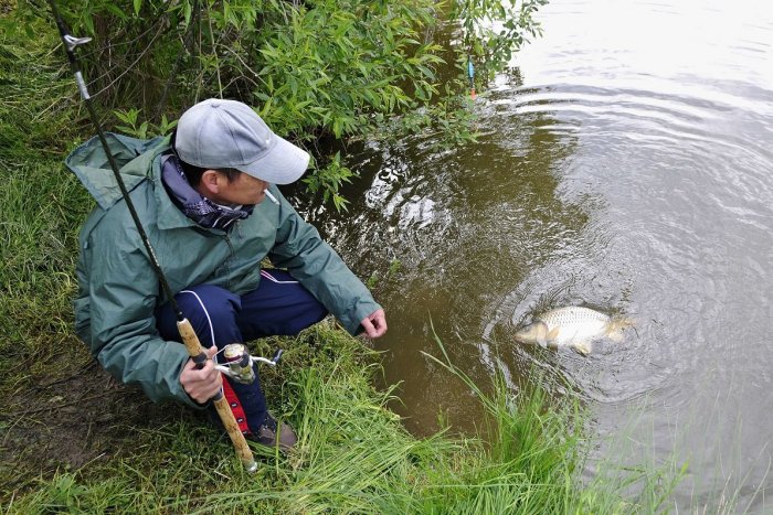 Ilustračný obrázok k článku Kauza považskobystrických rybníkov: Sťažnosť voči rozhodnutiu polície