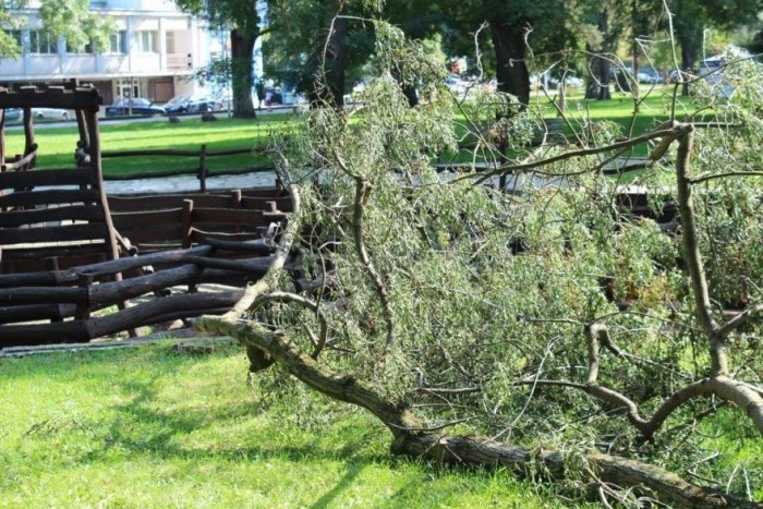 Ilustračný obrázok k článku Mesto chce zrevitalizovať Starý park: Žiada verejnosť o názor