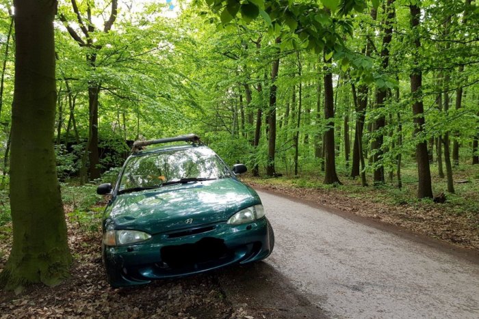 Ilustračný obrázok k článku Agresívni vodiči sa tlačia do lesoparku. Kedy konečne pochopia, že auto do prírody nepatrí?!