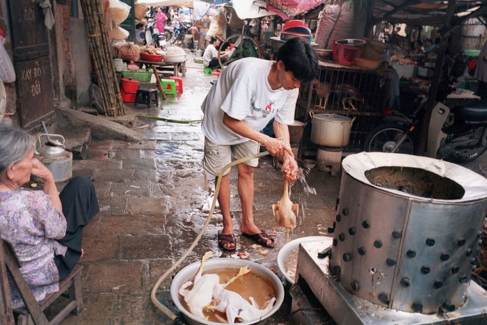 Ilustračný obrázok k článku Vietnam zakázal obchodovanie s divými zvieratami, ruší aj nechutné trhy