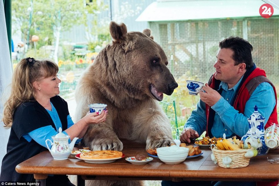 Ilustračný obrázok k článku KURIOZITA DŇA: Pár si adoptoval medveďa. Jedáva s nimi za jedným stolom!, VIDEO