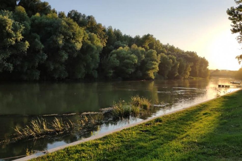 Ilustračný obrázok k článku Tip na výlet: Prírodu v okolí Malého i Mošonského Dunaja môžete obdivovať aj z člna