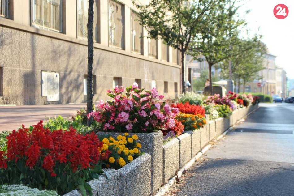 Ilustračný obrázok k článku Letná nádhera v uliciach Bystrice: Pozornosť púta pestrofarebná výzdoba, FOTO