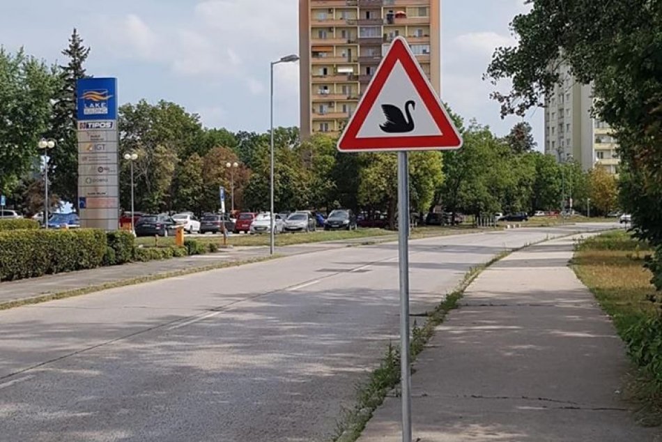 Ilustračný obrázok k článku KURIOZITA DŇA: Pri návšteve hlavného mesta vodiči krútia hlavou: Značka ich varuje pred labuťami!