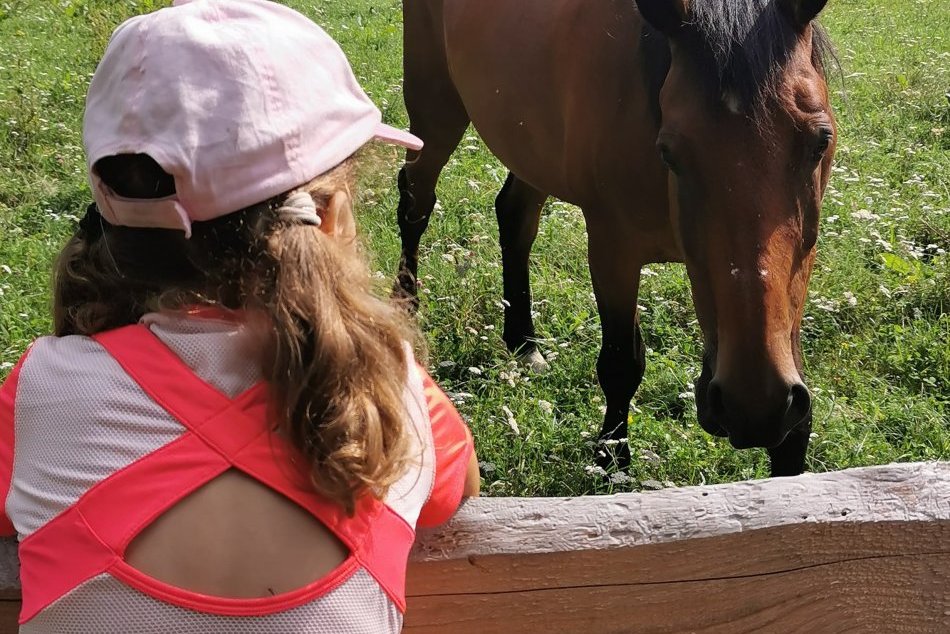 Ilustračný obrázok k článku Skvelá šanca pre malých Lučenčanov: Na koníkoch sa môžu povoziť ZADARMO