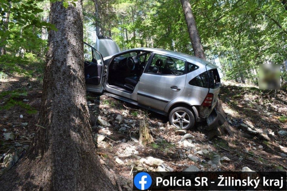Ilustračný obrázok k článku Podgurážená vodička havarovala pri Žiline: Vpálila do stromu a zostala visieť v svahu