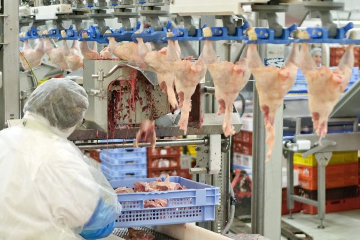 Ilustračný obrázok k článku Spoločnosť Hyza v problémoch: Desiatky jej zamestnancov mali pozitívne testy