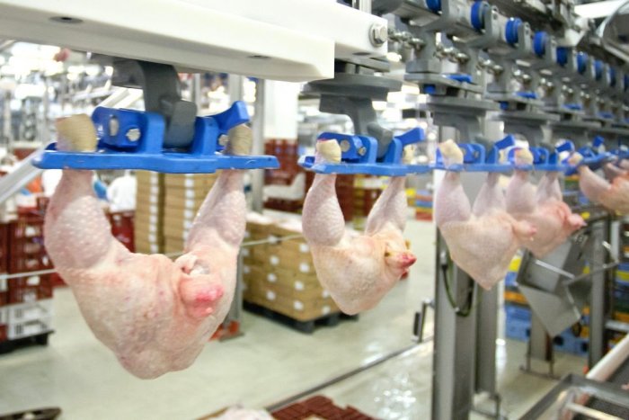 Ilustračný obrázok k článku Situácia v Hyze sa stabilizovala: Ohrozia pozitívne testy výrobu?