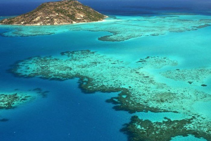 Ilustračný obrázok k článku TRPKÁ správa z Austrálie: Polovica Veľkej koralovej bariéry odumrela! A má zmiznúť celá