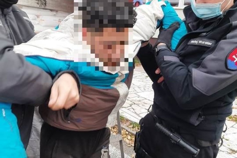 Ilustračný obrázok k článku FOTO: Neďaleko Bratislavy chytili migrantov. Skrývali sa na TOMTO mieste