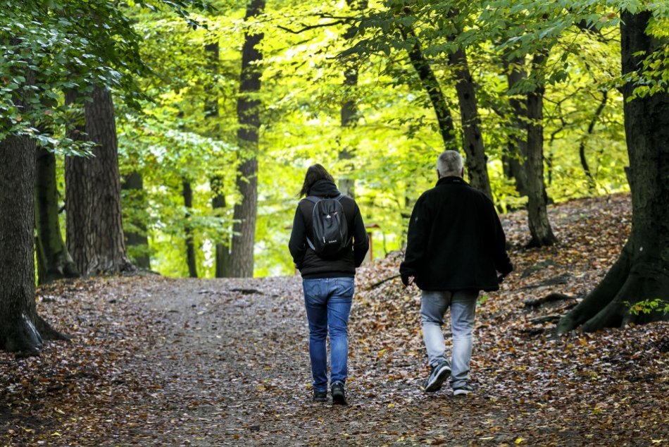 Ilustračný obrázok k článku Šikovný ŤAHÁK: Je vaše obľúbené miesto v extraviláne? Overte si to na MAPE!