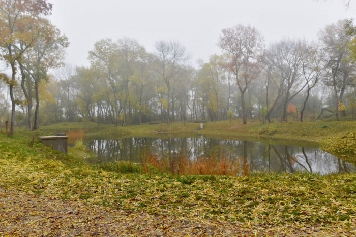Ilustračný obrázok k článku V OBRAZOCH: Sychravo, hmly, blato, ale príroda aj v Trnave hrá jesennými farbami!