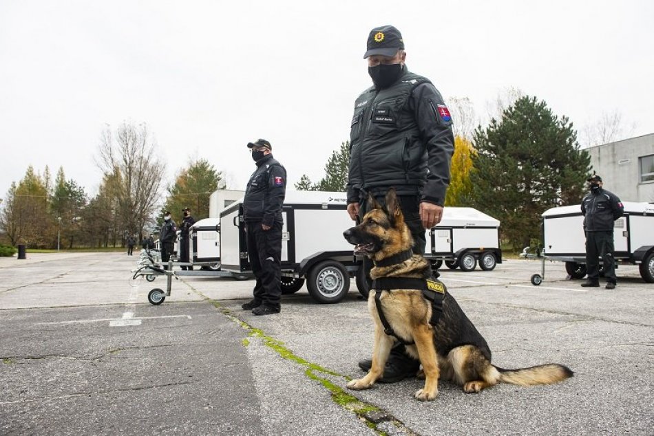 Ilustračný obrázok k článku POZRITE, v akých parádnych "fárach" sa budú voziť policajné psy a kone! + FOTO