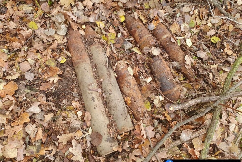 Ilustračný obrázok k článku Bombový zážitok z hubárčenia? V lese na Záhorí našiel namiesto hríbov granáty