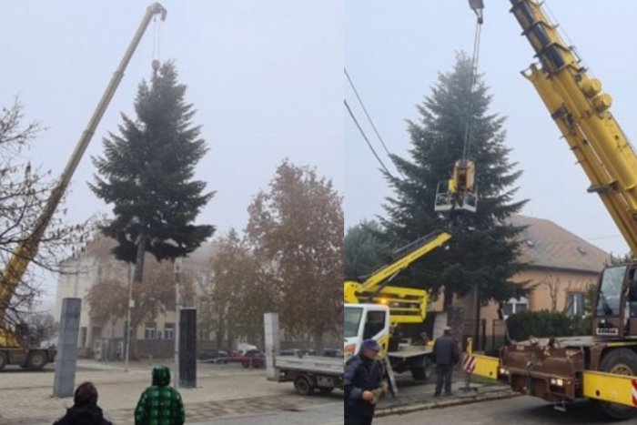 Ilustračný obrázok k článku Prípravy na sviatky sú v plnom prúde: V Šali už stojí vianočný strom, FOTO