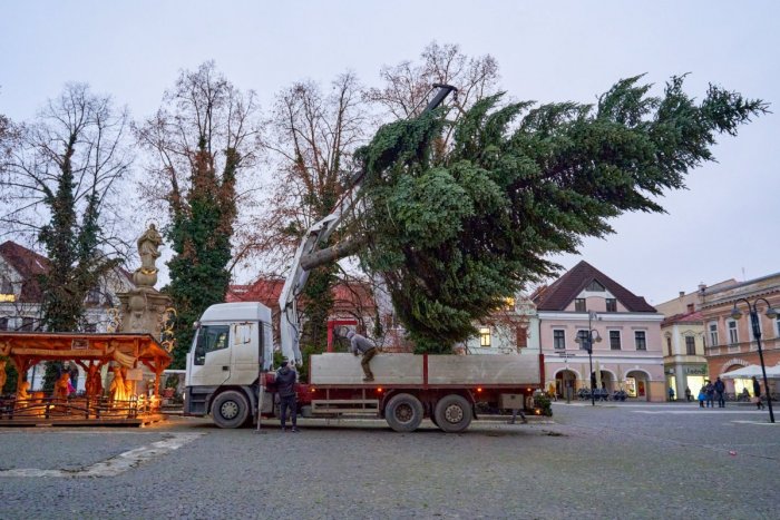 Ilustračný obrázok k článku Žilina bude mať 20 vianočných stromčekov: Rozžiaria sa na týchto miestach