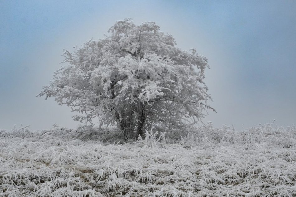Ilustračný obrázok k článku Mrazy v Prešove ešte nekončia: Meteorológovia vydali výstrahu, má byť aj - 20 °C!