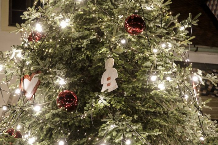 Ilustračný obrázok k článku Chcete luxusný vianočný stromček za pár eur? Stačí maličkosť