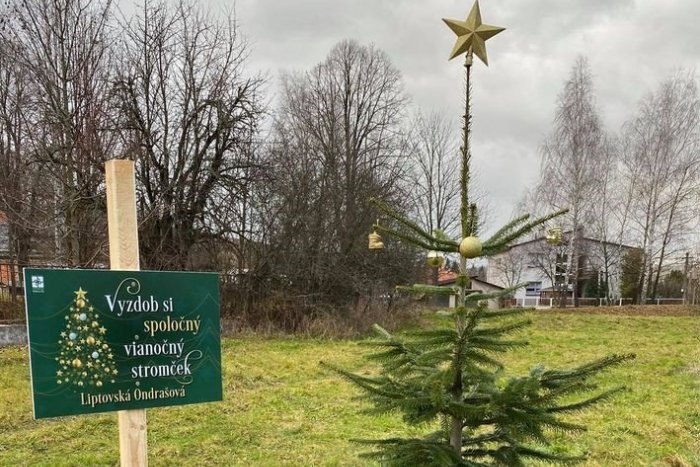 Ilustračný obrázok k článku Milý vianočný nápad v Mikuláši: Všimli ste si už tieto zvláštne stromčeky?