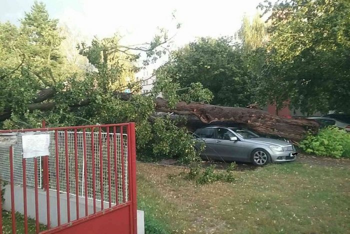 Ilustračný obrázok k článku Silný vietor zamestnal hasičov v Žilinskom kraji: Stromy padali na cesty i autá