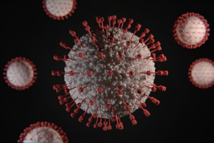 Ilustračný obrázok k článku V Juhoafrickej republike objavili nový variant koronavírusu: Toto vedcov ZNEPOKOJUJE!