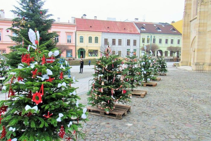 Ilustračný obrázok k článku Centrum Prešova obsadili ozdobení krásavci: 12 škôl má svoj vianočný stromček, FOTO