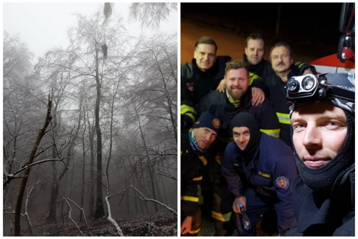 Ilustračný obrázok k článku Ťažký zásah hasičov: Záchrana paraglajdistu zo stromu trvala 5 hodín!