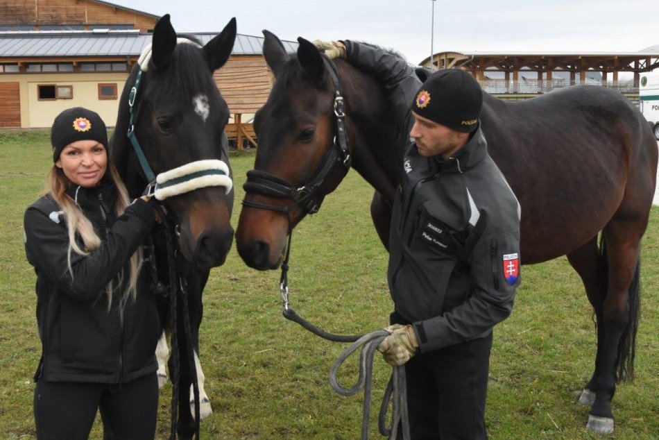 Ilustračný obrázok k článku Jazdná polícia s novými posilami: Získala kone z Topoľčianok, FOTO