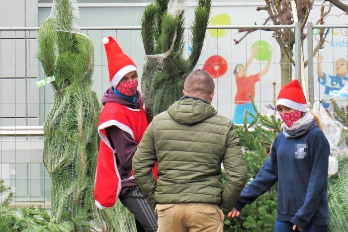 Ilustračný obrázok k článku Ešte nemáte symbol Vianoc? Živé stromčeky môžete kúpiť v TÝCHTO lokalitách Prešova