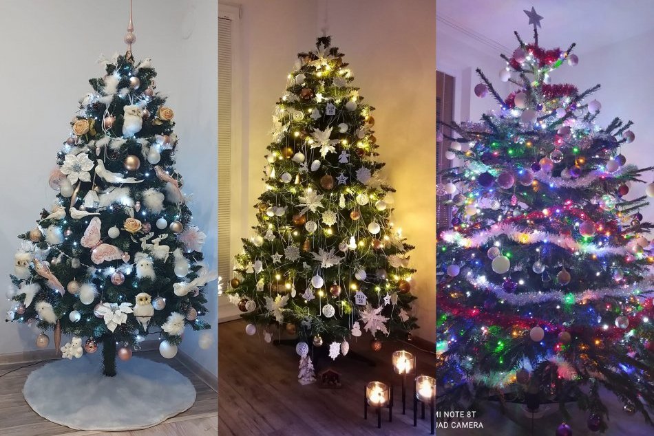 Ilustračný obrázok k článku Zámčania ukázali svoje vianočné stromčeky: Sledujete tú parádu, FOTO od vás!