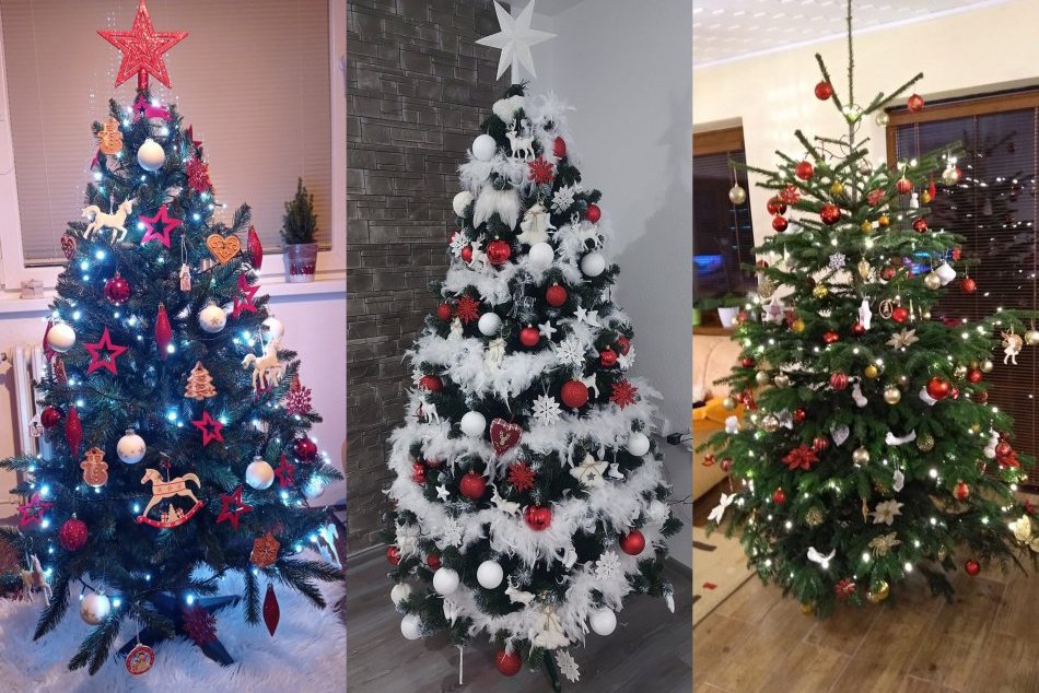 Ilustračný obrázok k článku Topoľčanci ukázali svoje vianočné stromčeky: Sledujete tú parádu, FOTO od vás!