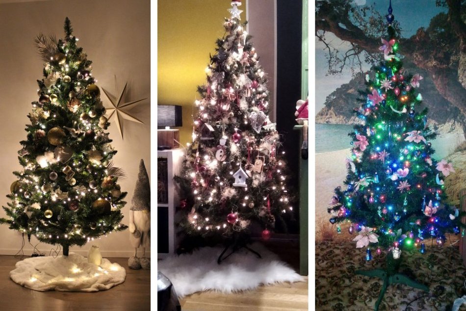 Ilustračný obrázok k článku Pozrite na tých krásavcov: TAKTO žiaria vianočné stromčeky Lučenčanov, FOTO