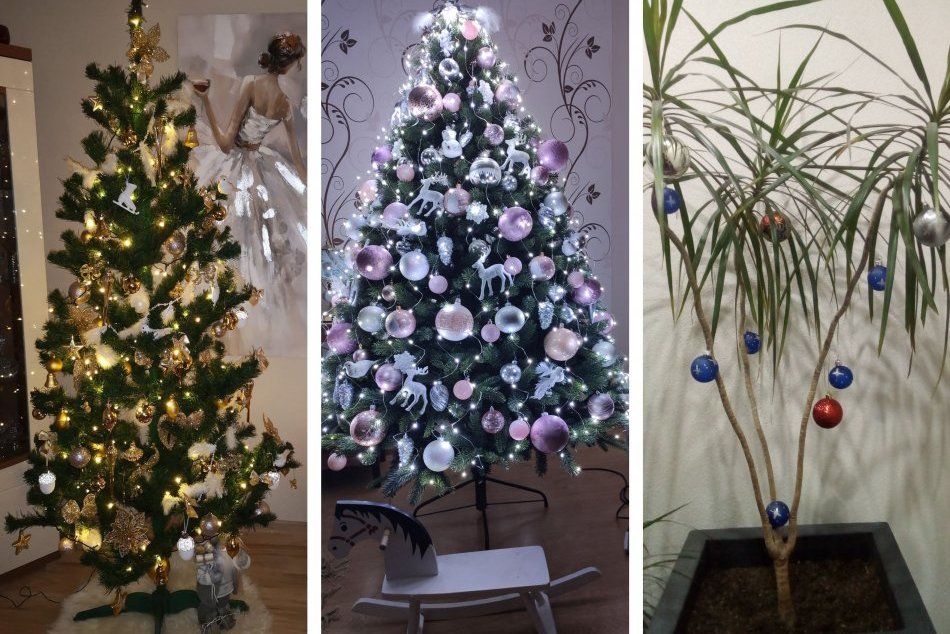 Ilustračný obrázok k článku Pozrite na tých krásavcov: TAKTO žiaria vianočné stromčeky Zvolenčanov, FOTO