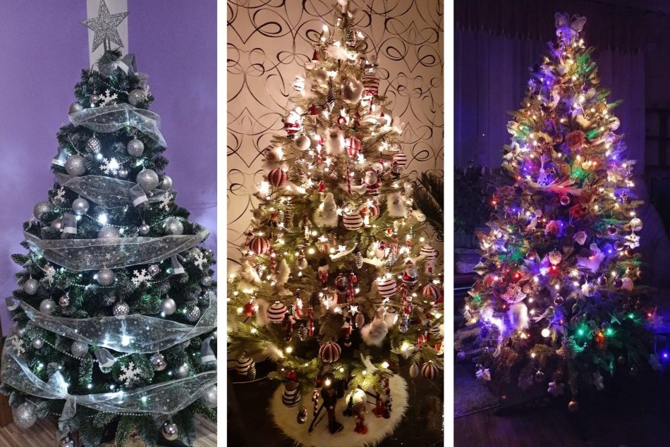 Ilustračný obrázok k článku Pozrite na tých krásavcov: TAKTO žiaria vianočné stromčeky Revúčanov, FOTO