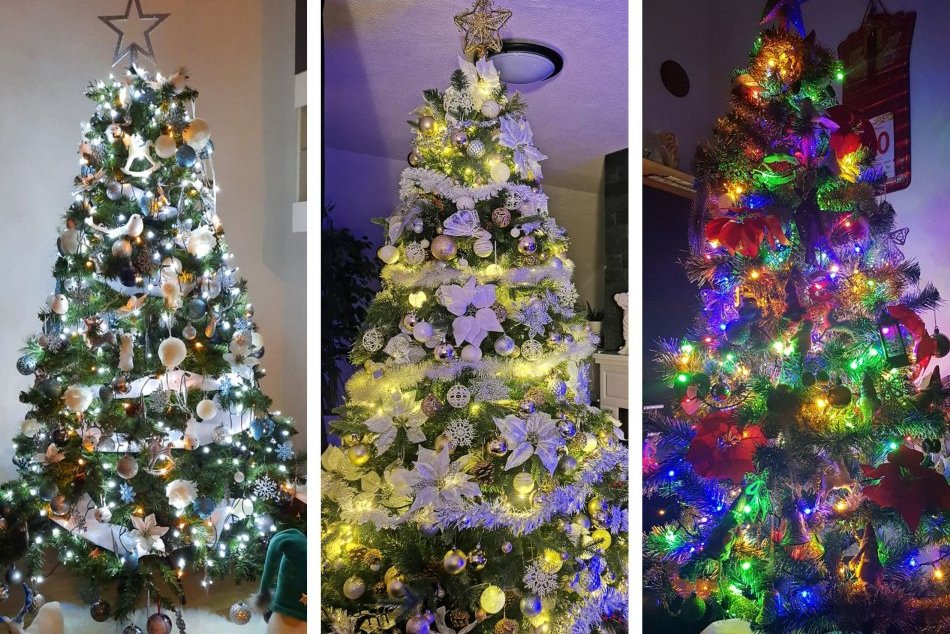 Ilustračný obrázok k článku Pozrite na tých krásavcov: TAKTO žiaria vianočné stromčeky Brezňanov, FOTO