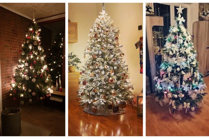 Ilustračný obrázok k článku Nazrite Mikulášanom do obývačiek: Veľká GALÉRIA vianočných stromčekov našich čitateľov