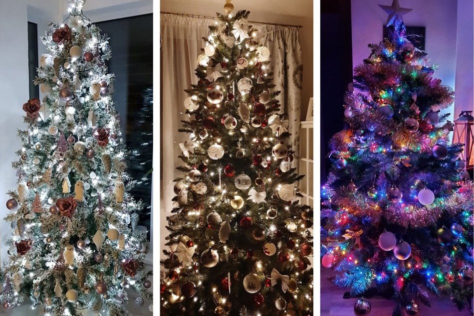 Ilustračný obrázok k článku Pozrite na tých krásavcov: TAKTO žiaria vianočné stromčeky Bystričanov, FOTO