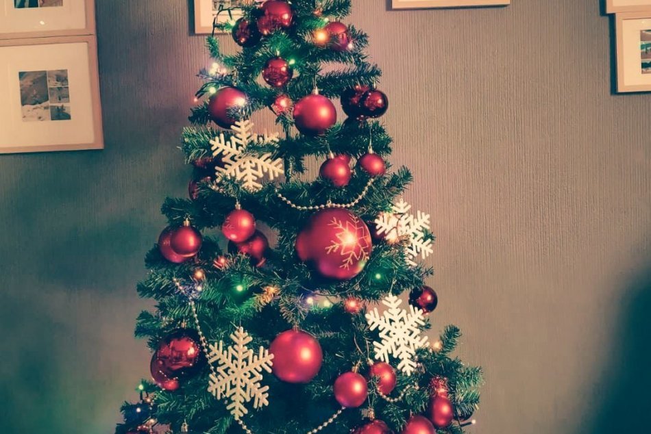 Ilustračný obrázok k článku Vianočné stromčeky z Michaloviec a okolia: FOTO od našich čitateľov
